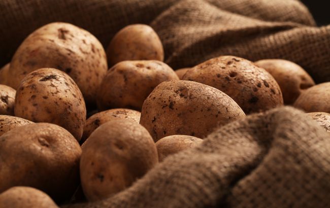Зберігаємо картоплю вдома правильно: які помилки допускати не можна