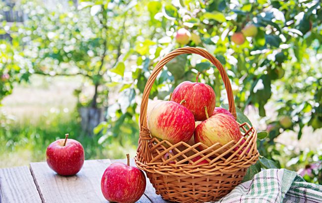 Яблочный Спас 19 августа: как узнать будущее и загадать желание на яблоках