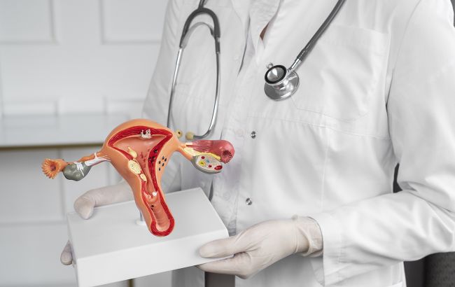 Дівоча пліва - це не те, про що всі думають. Гінеколог розповіла незручну правду