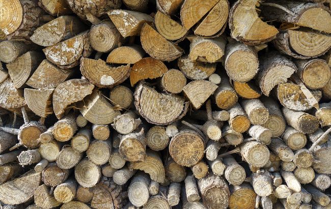 Україна заготовила рекордний запас паливної деревини