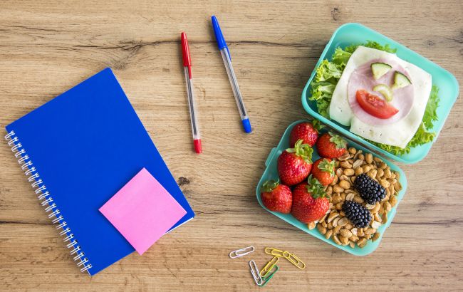 Какую еду дать ребенку с собой в школу: варианты здорового и питательного обеда