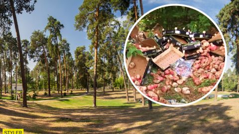 В киевском парке выбросили ящики с фруктами: жуткая вонь и полно насекомых