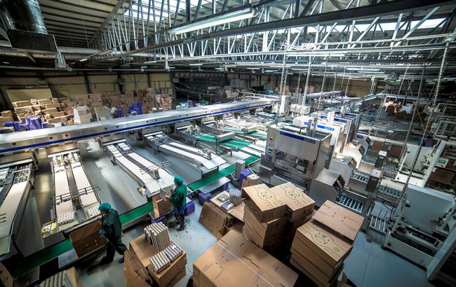 Компанія Бахматюка має намір повернути позиції другого виробника яєць у світі