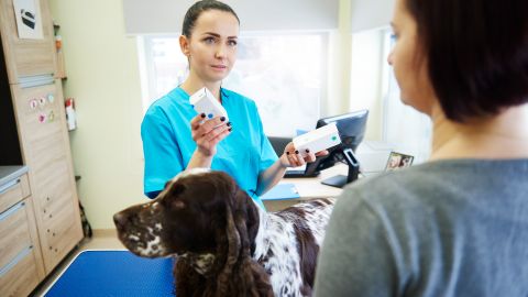 В Україні з'явилась перша держпослуга з підтримкою ШІ