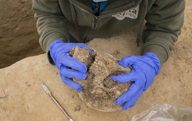 Археологи нашли огромный череп, который может опровергнуть теории о происхождении человека