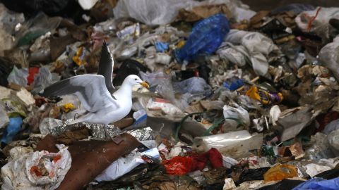 Бомба уповільненої дії. В Україні забороняють пластикові пакети: коли і чим їх замінять