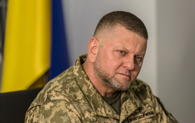 Залужный выступил за расширение мобилизации в Украине
