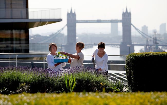 Велика Британія зустріне Новий рік з рекордно теплою погодою