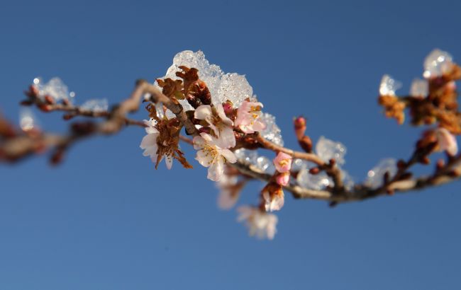 С незначительной задержкой. В Киеве началась метеорологическая весна