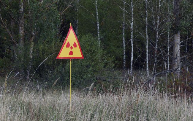 У ДСНС спростували інформацію щодо масштабних пожеж у Чорнобильській зоні