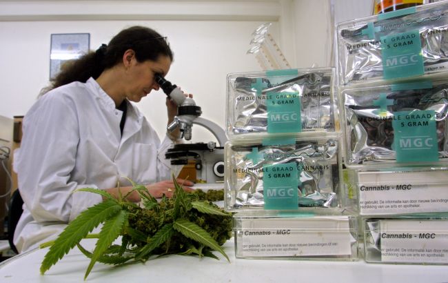 Медичний канабіс в Україні. Головне про легалізацію та чому це важливо