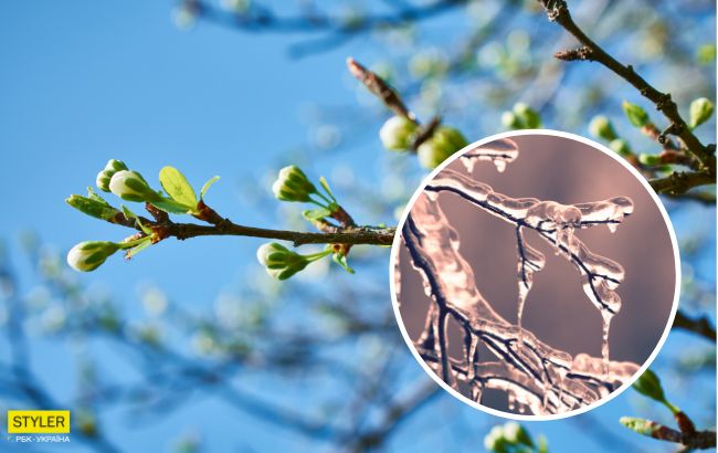 Зима отменяется: синоптики ошеломили аномальным прогнозом