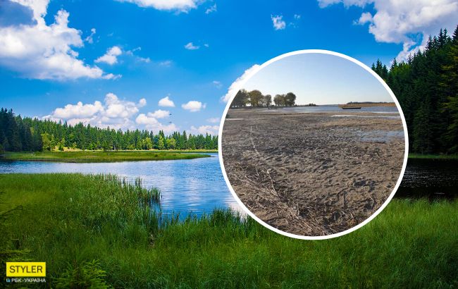 Экологическая катастрофа с озером Свитязь: найдено неожиданное решение (фото)