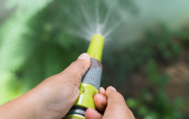 4 "золотих" правила поливу городу: всі рослини будуть рости вдвічі швидше