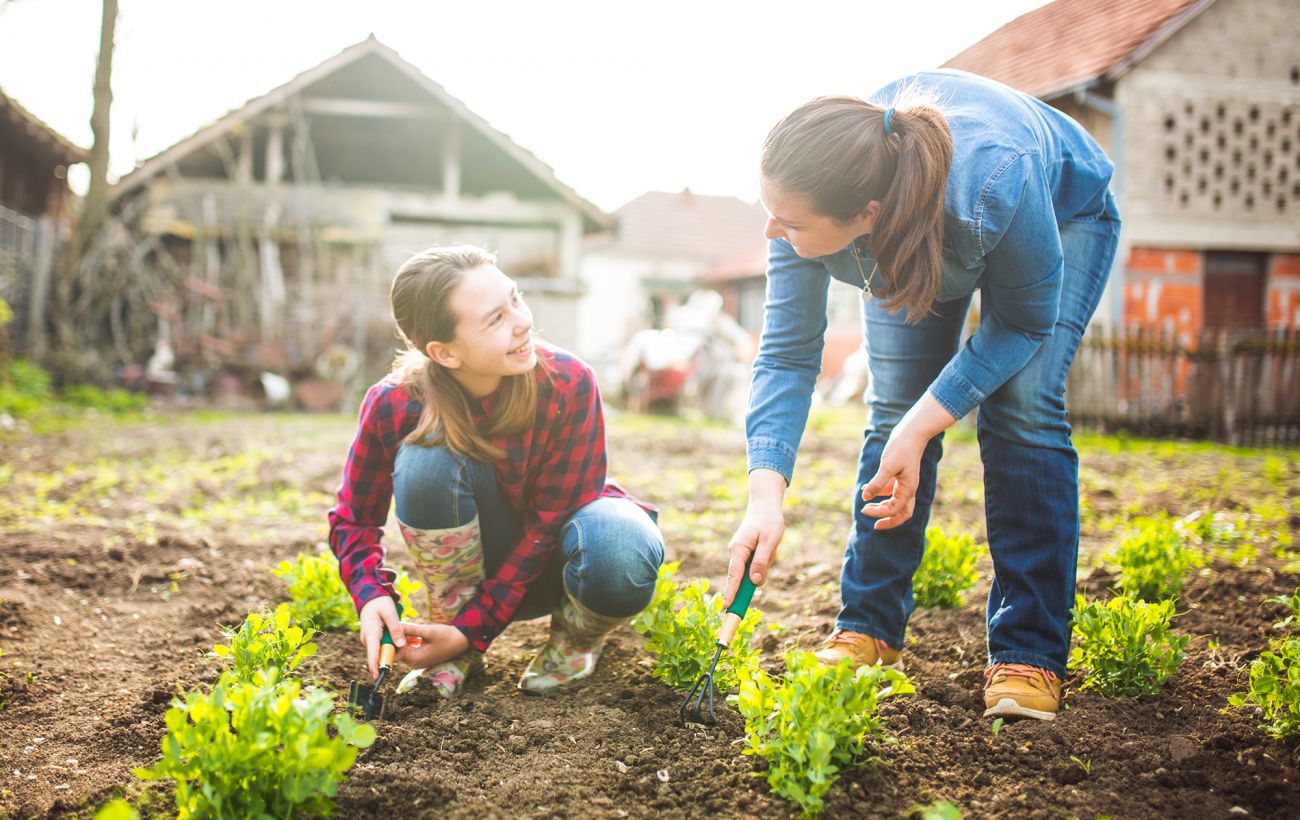 Мало місця на городі? Як спланувати грядки так, щоб збирати відрами з одного метра