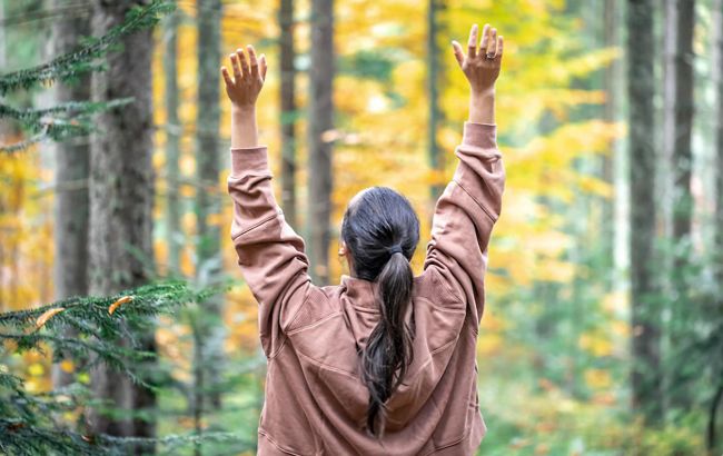 Гороскоп друидов 2023: какое вы дерево, и что готовит вам год Черного Кролика