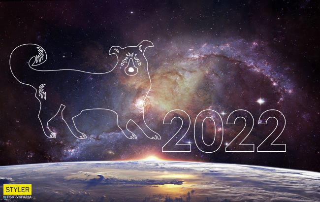 Гороскоп 2022 для знака Собака: що зміниться у вашому житті в рік Чорного Тигра