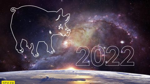 Гороскоп 2022 для знака Свинья: вас ждут неожиданные перемены в году Тигра