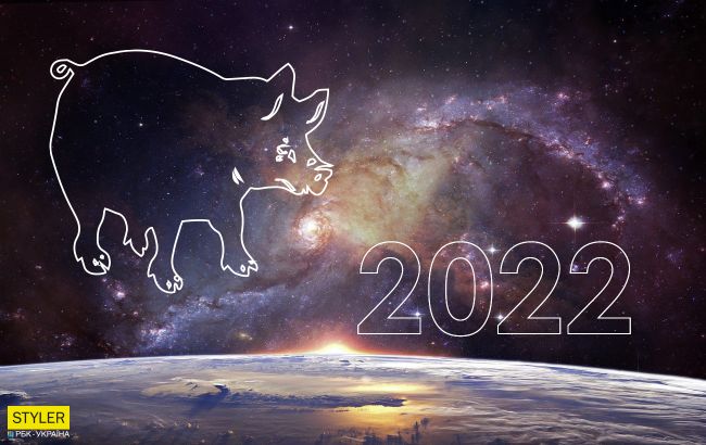 Гороскоп 2022 для знака Свиня: вас чекають несподівані зміни в році Тигра