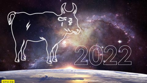 Гороскоп 2022 для знака Бык: что изменит Черный Тигр в любви, финансах и карьере