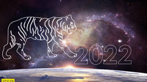 Гороскоп для Тигра на 2022 год: какие важные перемены подарит вам ваш покровитель