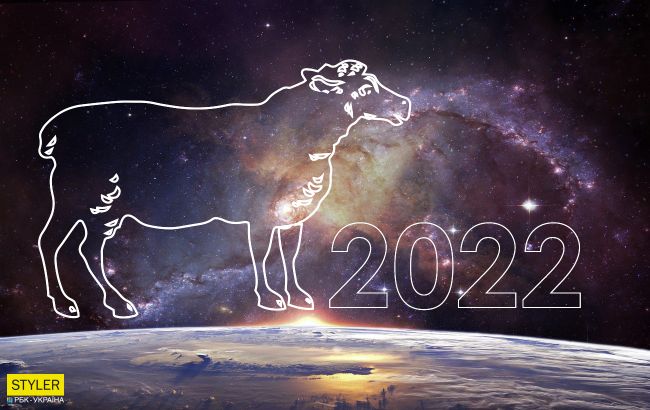 Гороскоп для знака Вівця 2022: що змінить для вас Тигр, і в чому особливість цього року