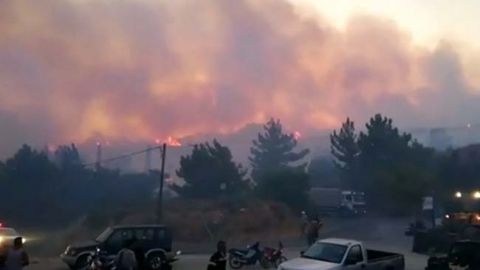 У Греції через масштабну лісову пожежу евакуювали сотні туристів