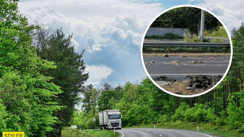 Под Днепром из грузовика на дорогу высыпались дохлые куры: стоит невыносимая вонь (фото)