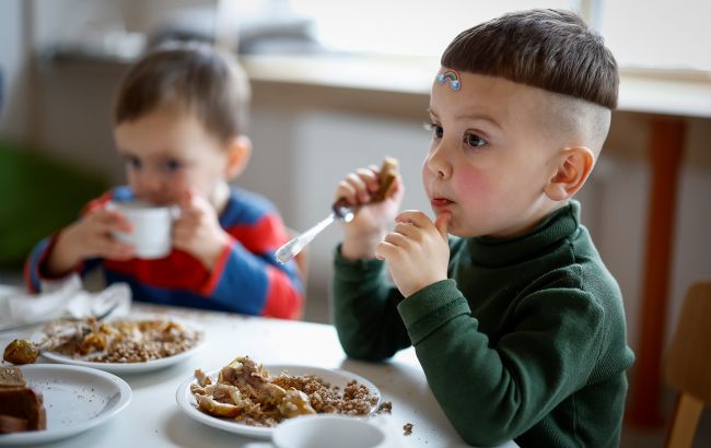 На портале "Дія" доступны четыре услуги для семей с детьми: кому могут понадобиться