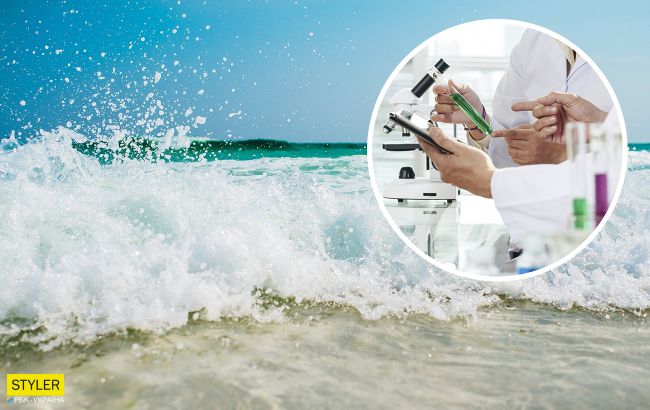 На популярных курортах нашли xoлepoпoдoбный вибрион