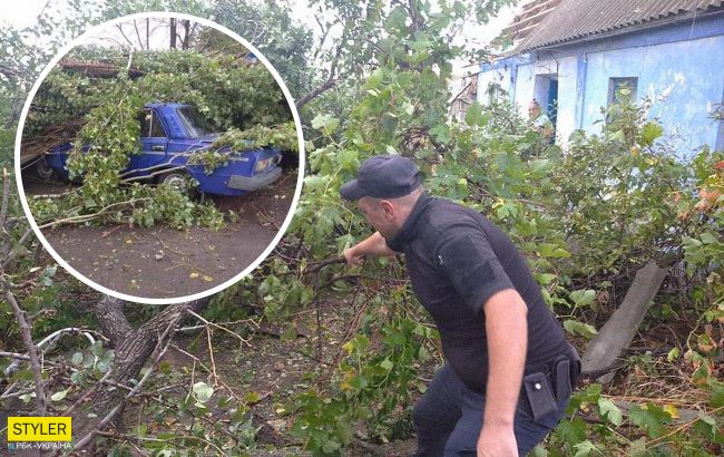 Под Херсоном пронесся ураган: деревья вырваны с корнями, сорваны крыши домов