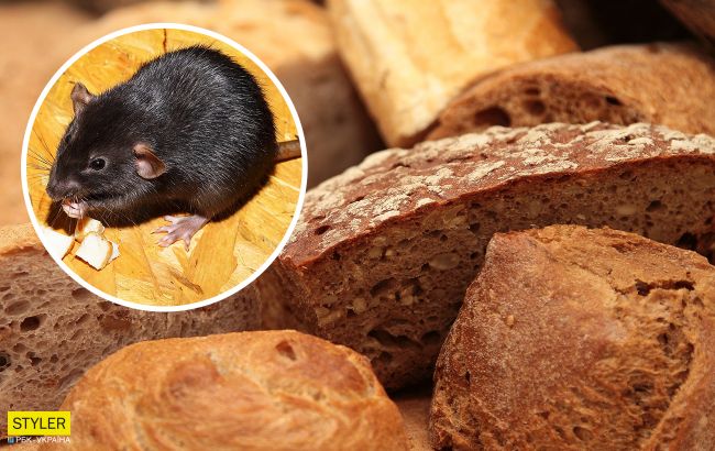В популярном супермаркете Киева сняли на видео, как крыса ела хлеб на прилавке