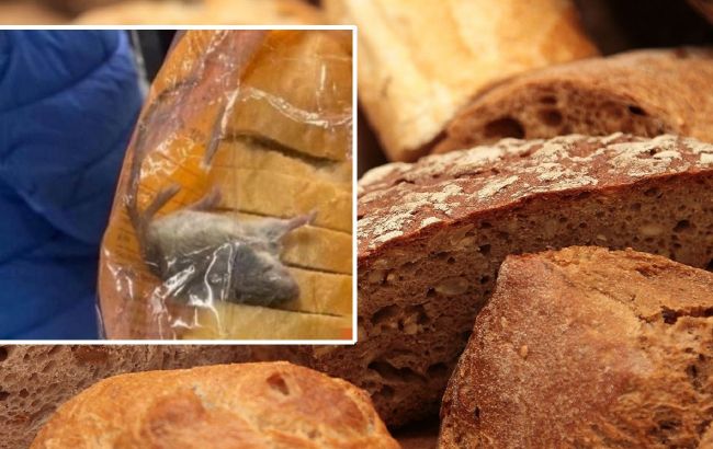 В супермаркете Киева покупатель нашел мышь в упаковке с хлебом: что известно о скандале