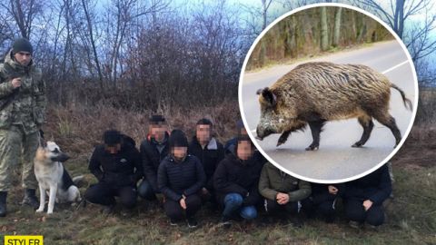 На Закарпатье вьетнамцы замаскировались под животных, чтобы перейти границу (видео)