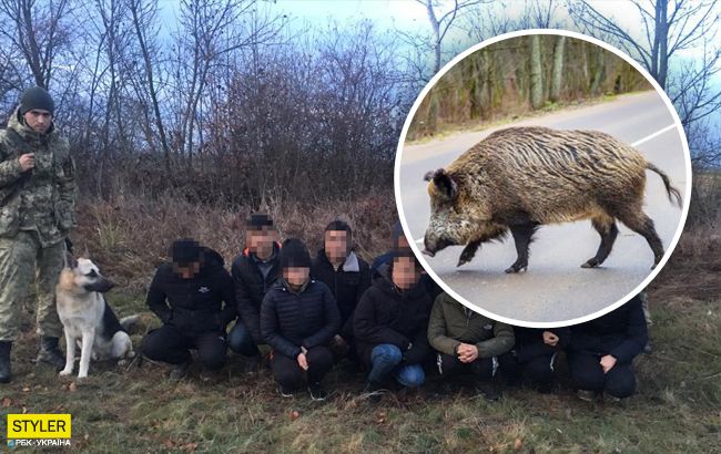 На Закарпатті в'єтнамці замаскувалися під тварин, щоб перейти кордон (відео)