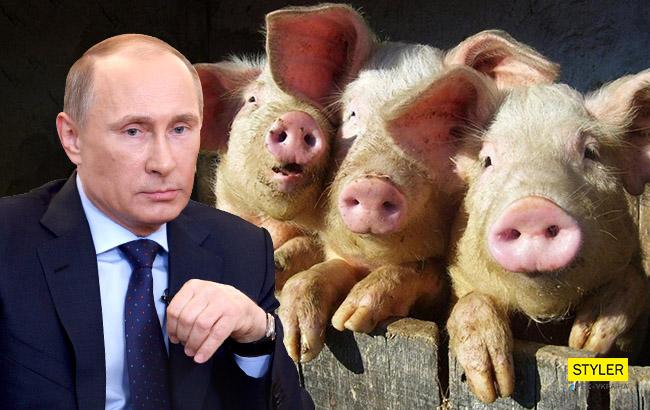 "Летела из Америки свинья": російський музикант різко висміяв новий заборону в РФ