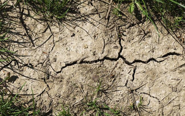 У ще двох районах окупованого Криму через посуху оголосили надзвичайний стан