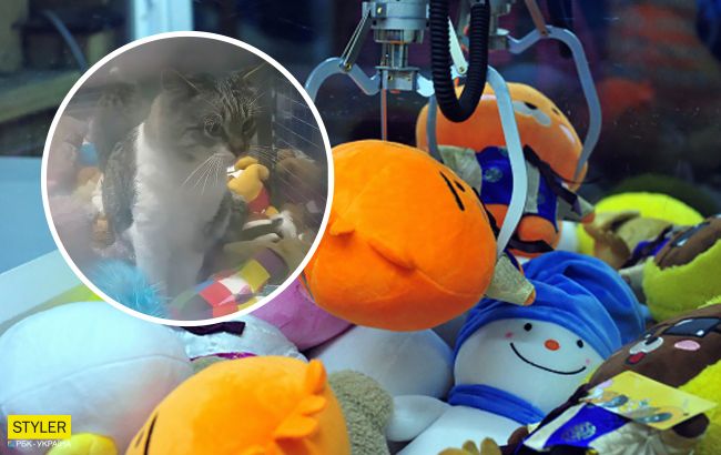 На Волині в ігровому автоматі сидів живий приз: фото несподіванки