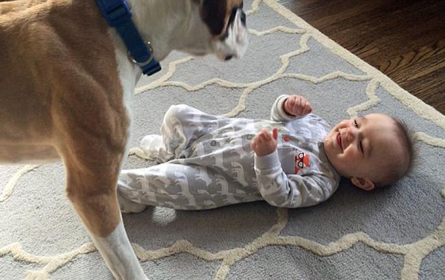 В США заботливый пес помогает нянчить девятимесячного младенца
