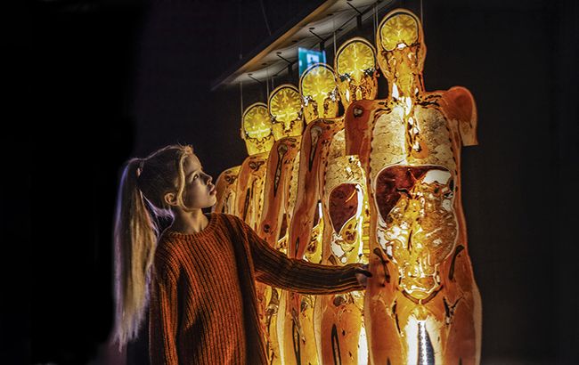 Оригінальна виставка Ґунтера фон Гаґенса "Всесвіт тіла"