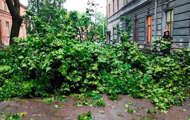 В результате сильной бури во Львове пострадал человек