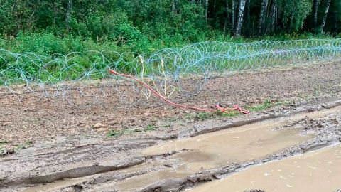 У Польщі затримали групу осіб, які намагалися зруйнувати огорожу на кордоні з Білоруссю