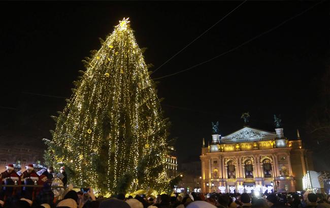В лучших европейских традициях: как выглядит главная елка Львова (фото, видео)
