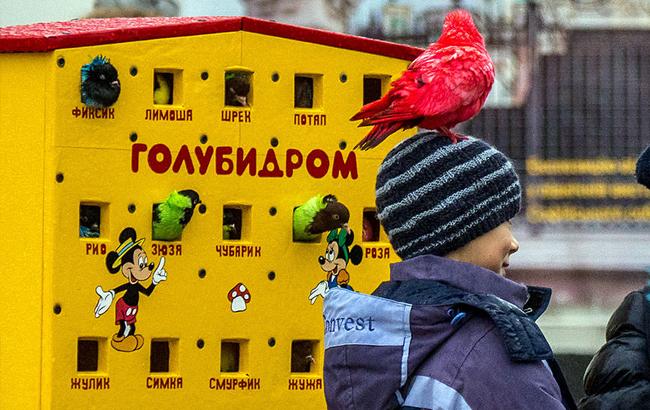 Посмотрите на эту жесть! Сеть возмутил "аттракцион для извращенцев" в центре Киева (фото)