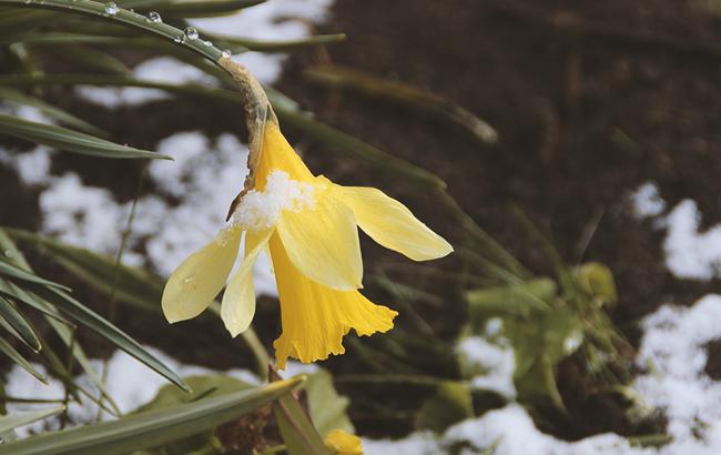 Три дні дощів і повернення морозів: синоптик розповіла про погоду в Україні