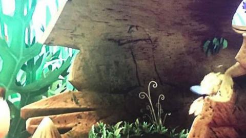 Начались поиски автора граффити с пенисом в "Пчелке Майе"