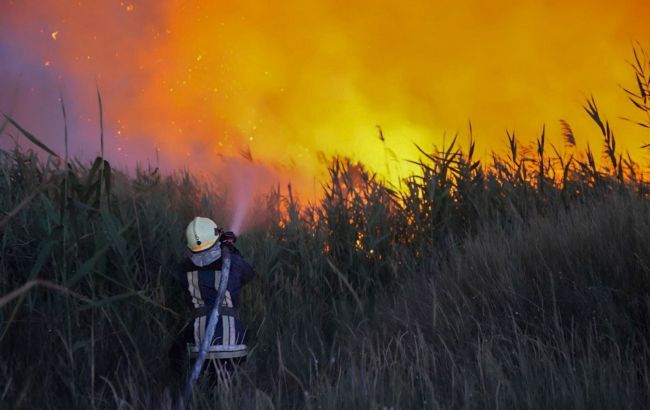 В Одесской области бушуют масштабные пожары: есть погибшая и раненые (фото)