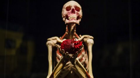 Всесвіт тіла: 7 причин відвідати скандальну виставку в Києві