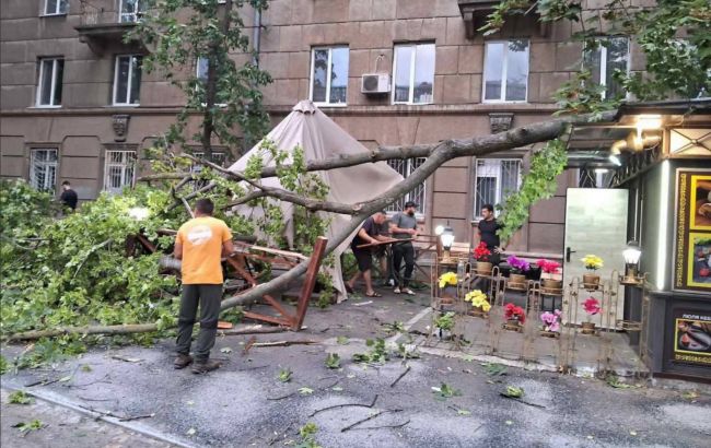 Одесу накрила негода з штормовим вітром: повалено десятки дерев, пошкоджені авто (фото)
