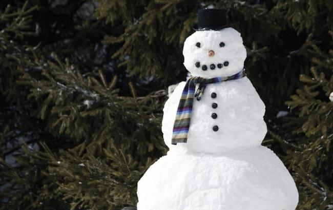 В Германии машинист принял снеговика на рельсах за человека